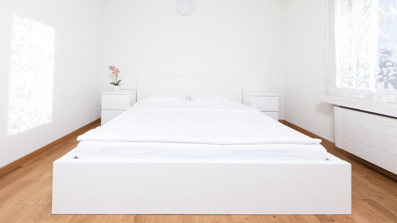 Swiss Star Apartments - Contactless Self Check-In زيورخ المظهر الخارجي الصورة